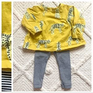 Tea Collection outfit